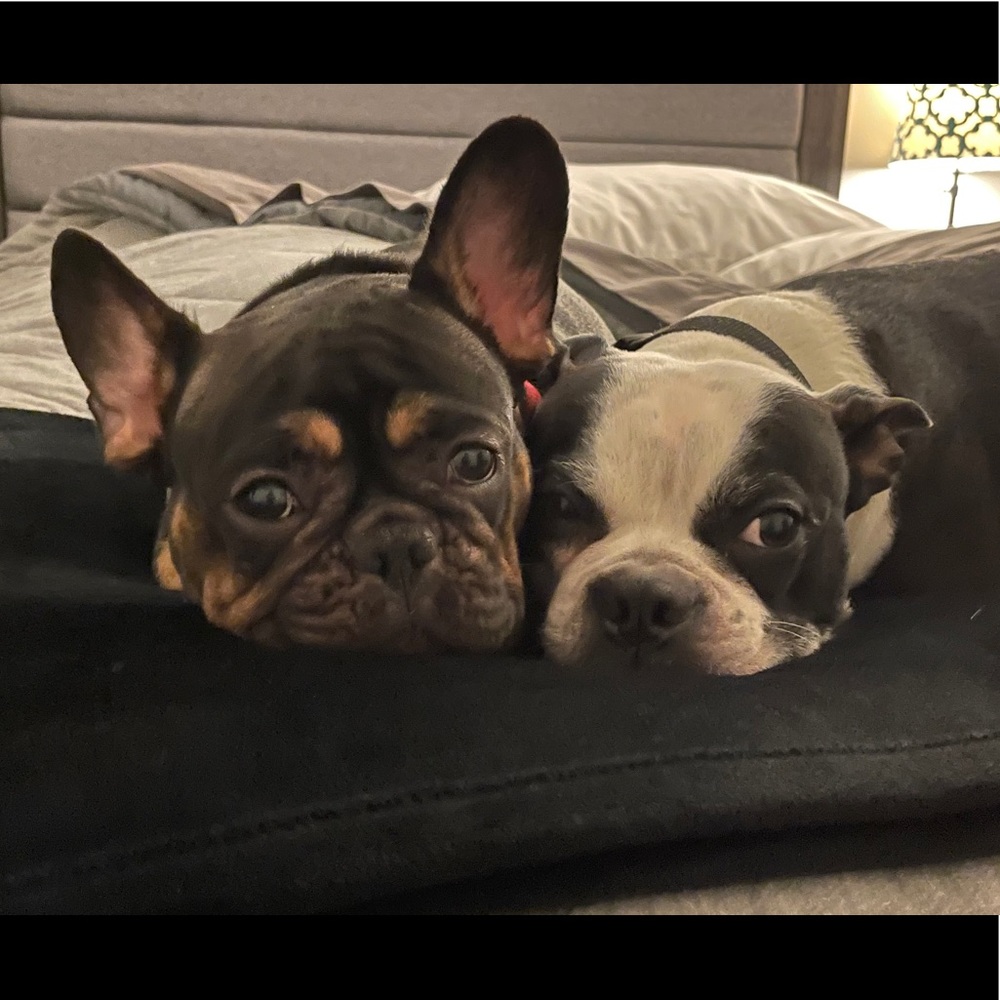 Meet your Posher, Tricia - Picture 2 of 3